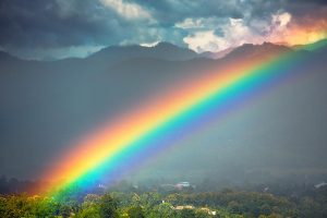Read more about the article Selasa, 22 Juli 2025 (Pelangi Sehabis Hujan)